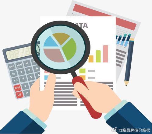 專業(yè)電商數據分析服務 數據處理如何賦能品牌破局增長